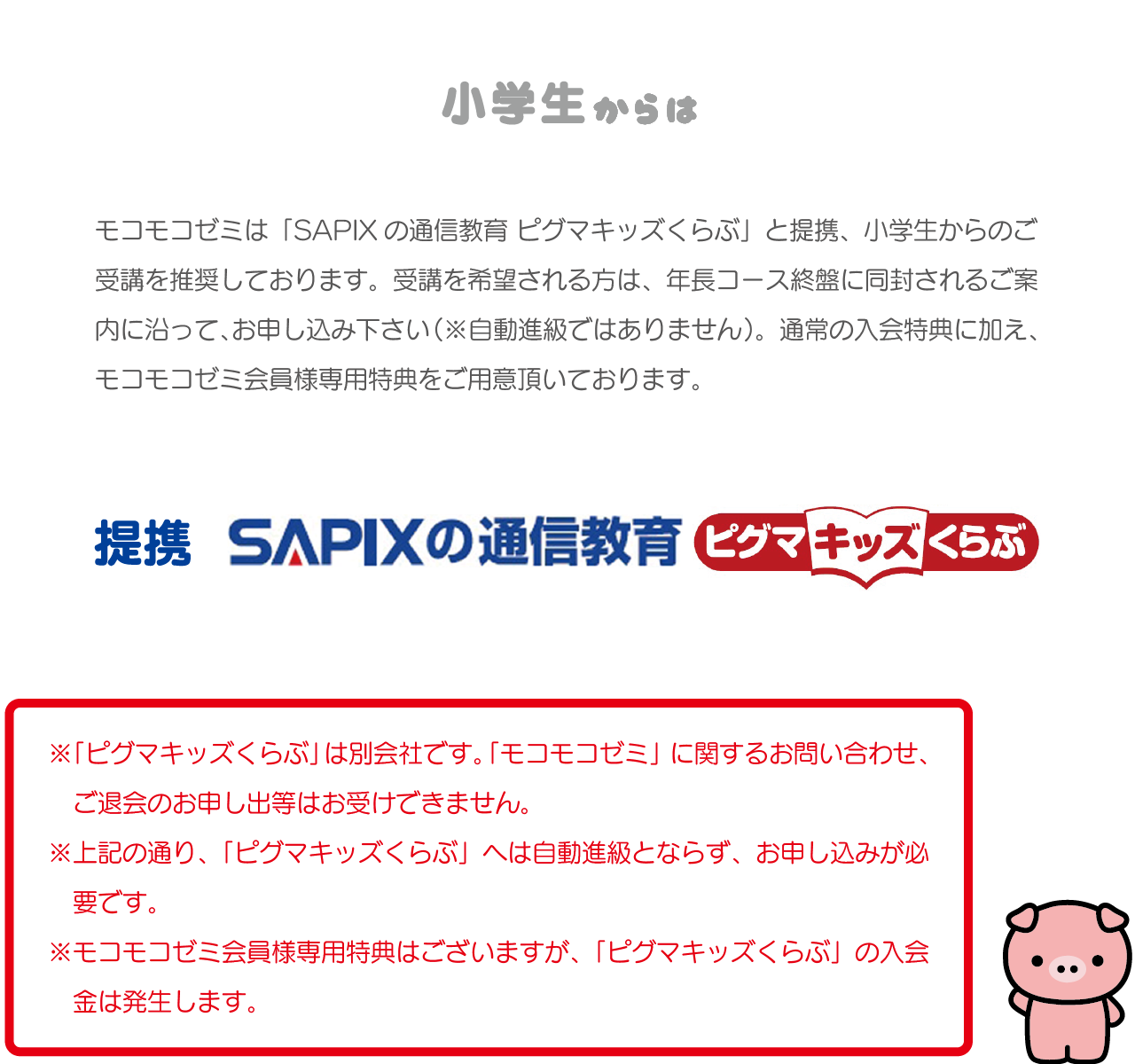 こぐま会教材、提携SAPIX(サピックス)ピグマの幼児通信教育モコモコゼミ